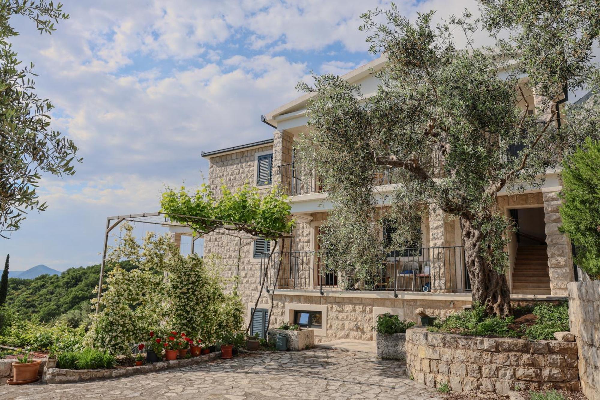Residence Vukovic, Rijeka Reževići Esterno foto
