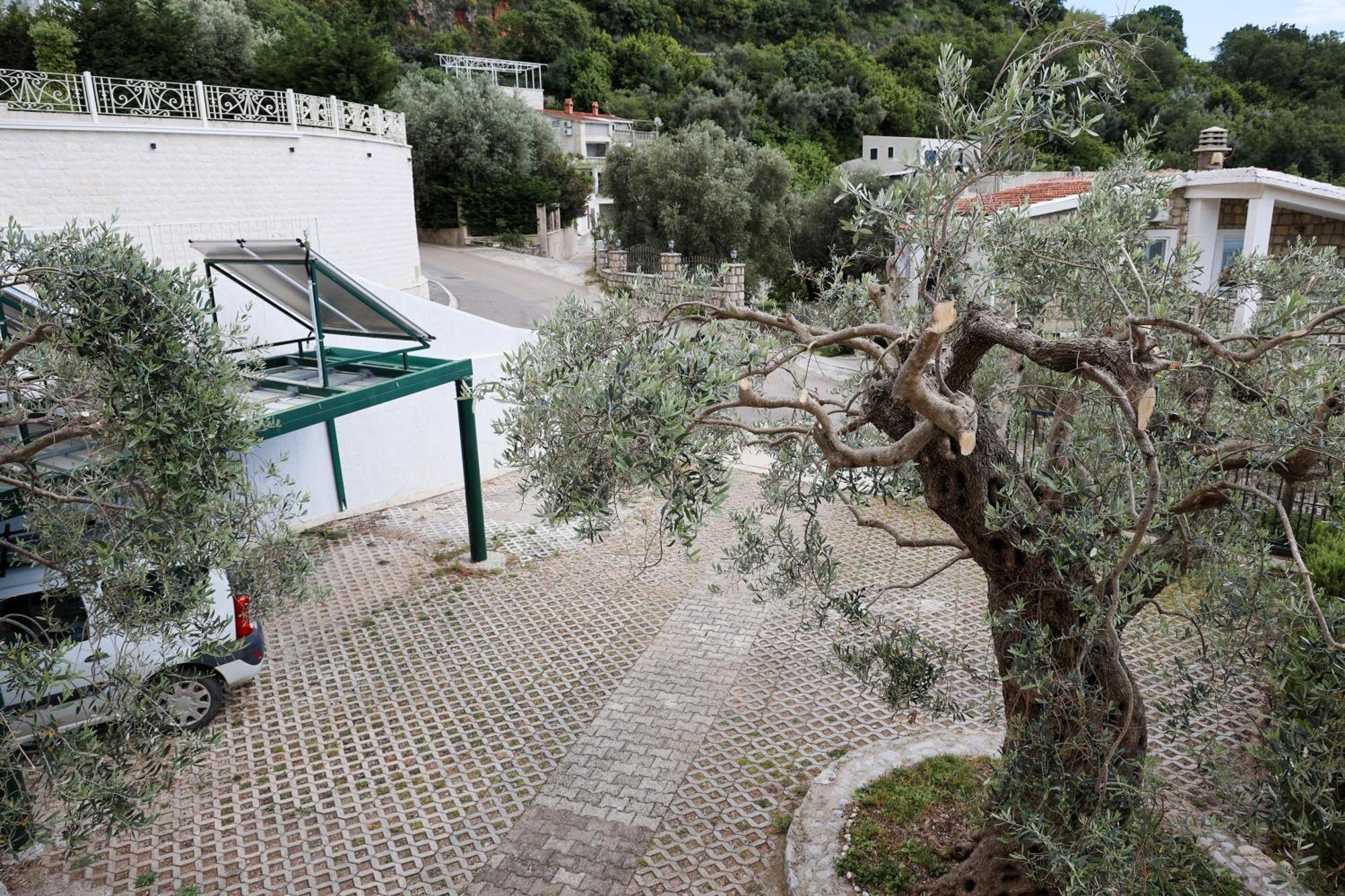 Residence Vukovic, Rijeka Reževići Esterno foto